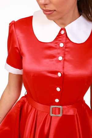Vintage Whimsical Rouge Dress - ELLY