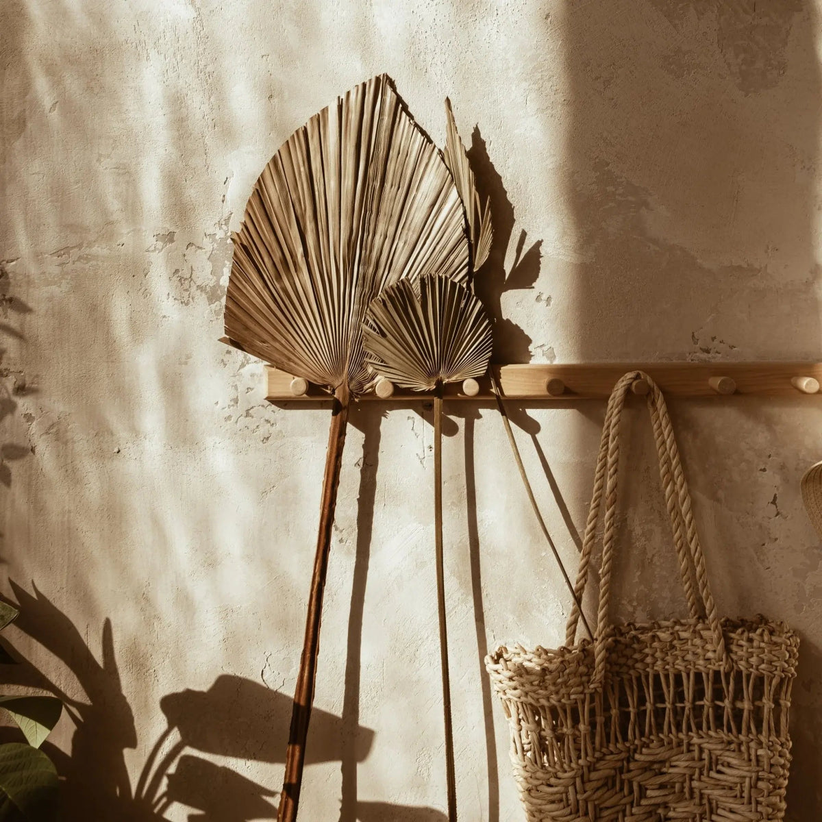 Bags, Belts & Scarfs - ELLY