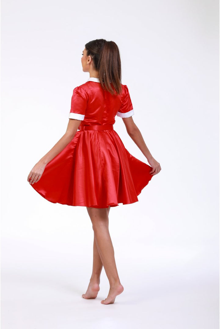Vintage Whimsical Rouge Dress - ELLY